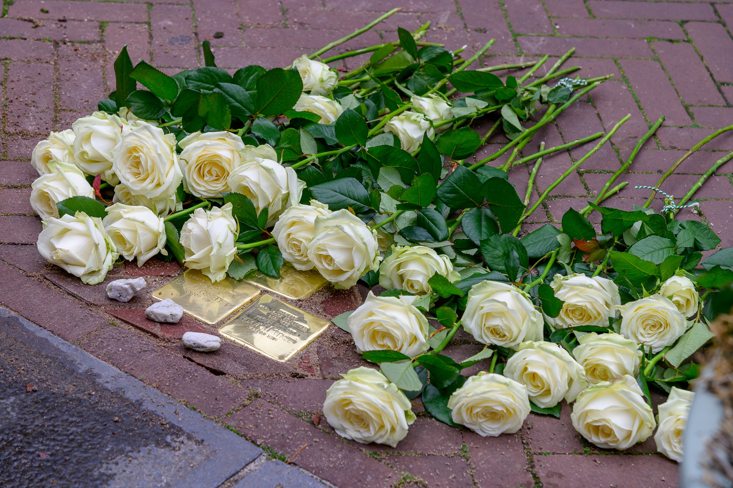 Nieuwe struikelstenen met bloemen