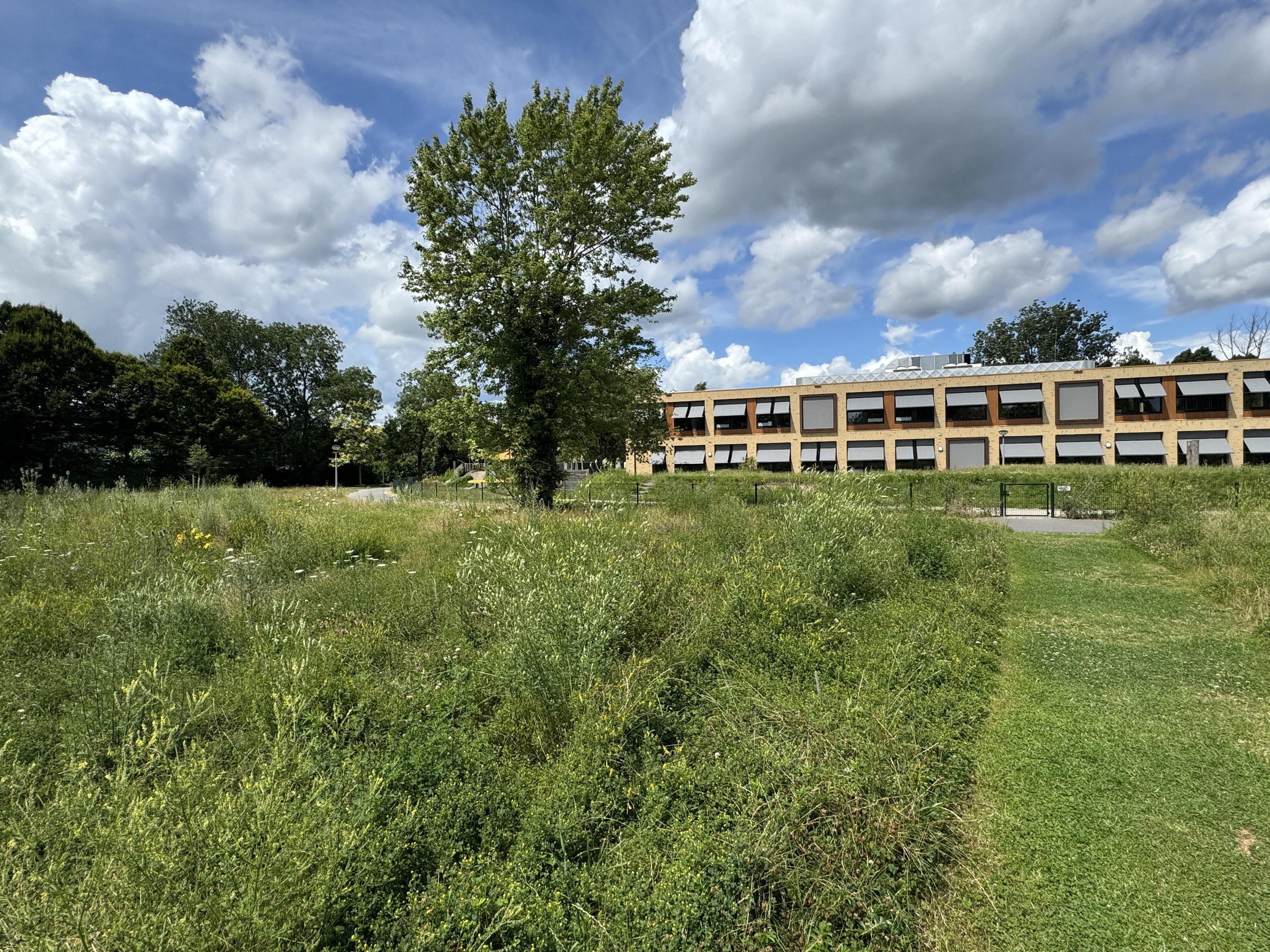 6. Groningenpark na werkzaamheden